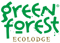 Cuyabeno Amazon Jungle Lodge | Green Forest Ecolodge | Cuyabeno Tours
